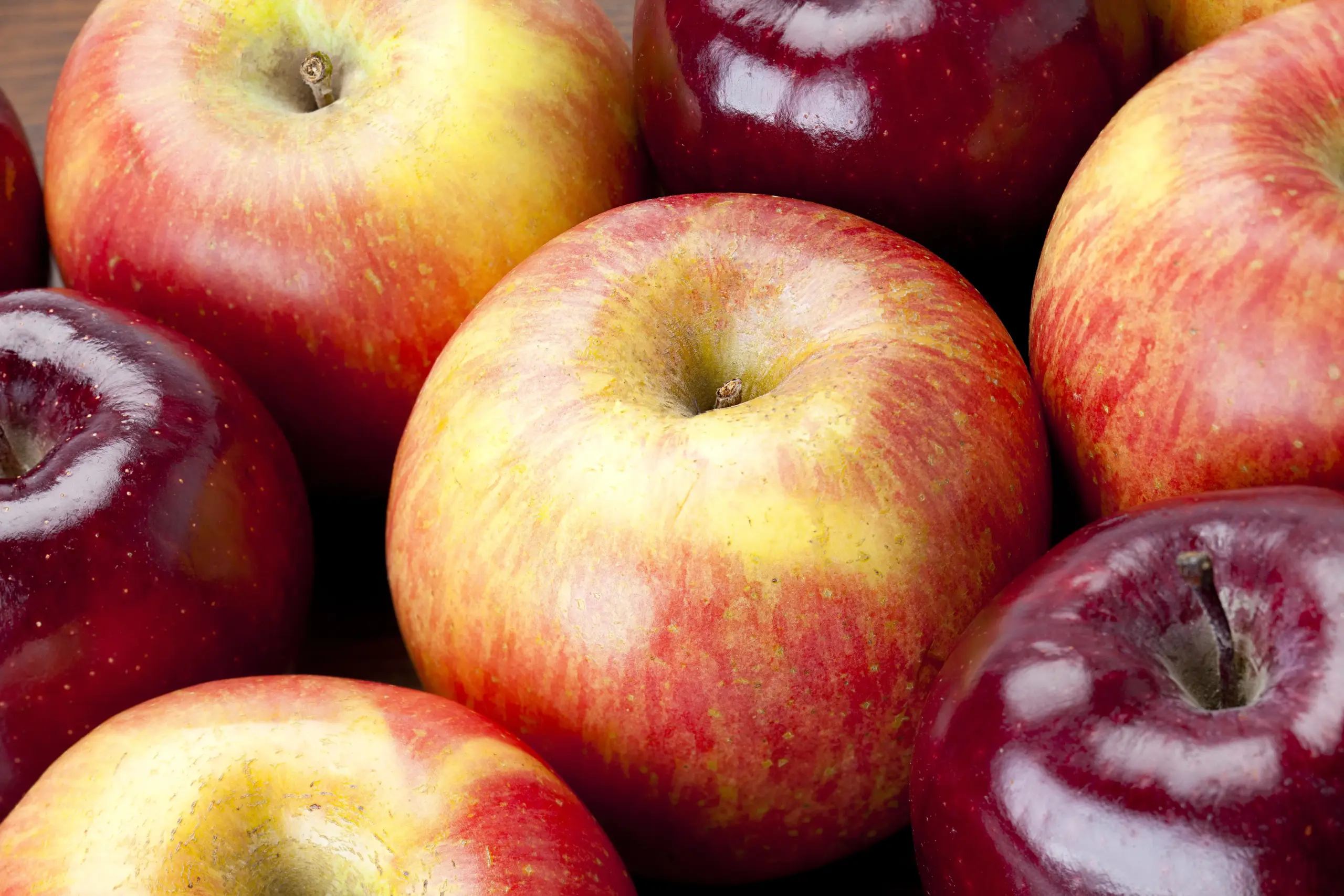 Close-up of several apples, some a deep shiny red, others lighter and not as shiny.